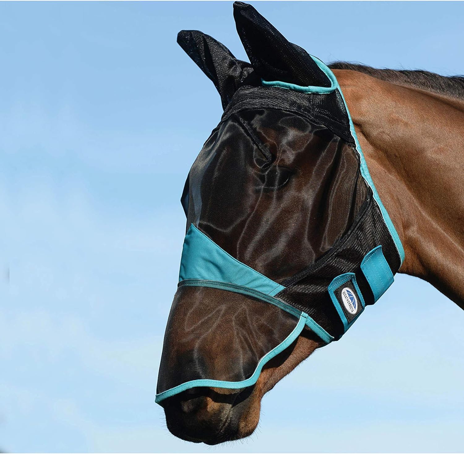 Weatherbeeta comfitec fine mesh mask with ears & nose black/turquoise mini